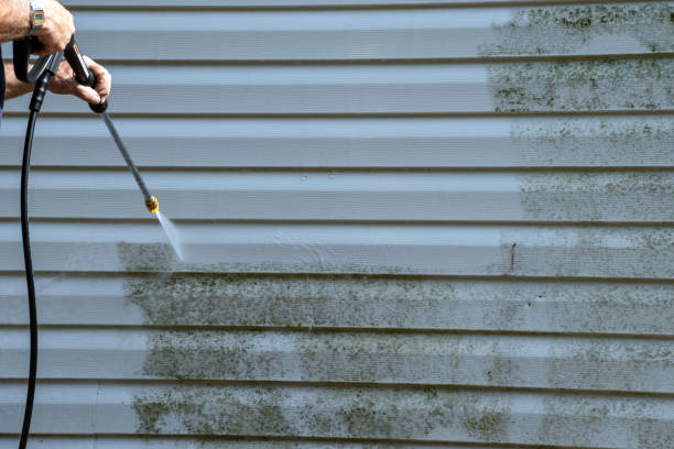 Best Residential Junk Removal  in Longview, WA